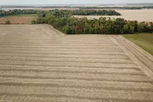 13301 E 1875 N Rd, Pontiac, IL 61764 - Photo 1