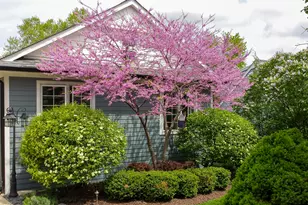 22W474 Emerson Ave, Glen Ellyn, IL 60137 - Photo 1