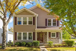 334 Ogden Falls Blvd, Oswego, IL 60543 - Photo 1