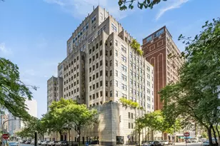 1155 N Dearborn St, Chicago, IL 60610 - Photo 1