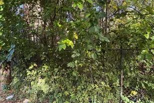 6705 S Parnell Ave, Chicago, IL 60621 - Photo 1