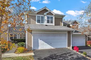 64 White Pine Dr, Schaumburg, IL 60193 - Photo 1