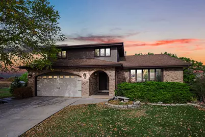 13226 Farm View Street, Homer Glen, IL 60491 - Photo 1