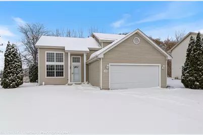 4798 W Lilac Avenue, Monee, IL 60449 - Photo 1