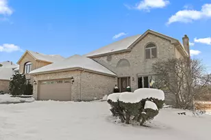 8942 Birch Ln, Hickory Hills, IL 60457 - Photo 1