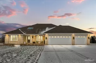 11039 Royal Porthcawl Dr, Naperville, IL 60564 - Photo 1