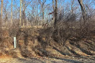 516 Brandywine Cir, Varna, IL 61375 - Photo 1