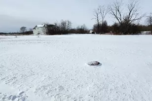 440 Megan Pl, Winthrop Harbor, IL 60096 - Photo 1