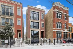 1054 N Hermitage Ave, Chicago, IL 60622 - Photo 1