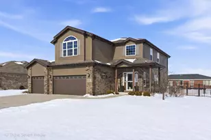 16256 W Pinto Ln, Manhattan, IL 60442 - Photo 1