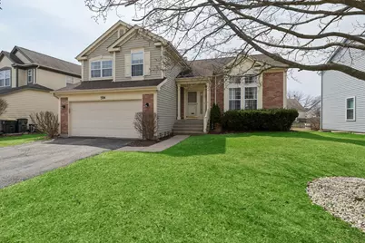 204 Buckingham Drive, Grayslake, IL 60030 - Photo 1
