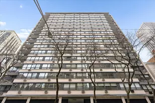 33 E Cedar St, Chicago, IL 60611 - Photo 1