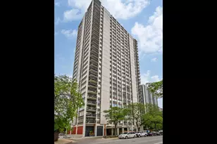 1455 N Sandburg Terrace, Chicago, IL 60610 - Photo 1