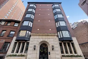 39 E Schiller St, Chicago, IL 60610 - Photo 1