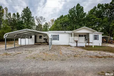 370 Dove Lane, Earlville, IL 62932 - Photo 1