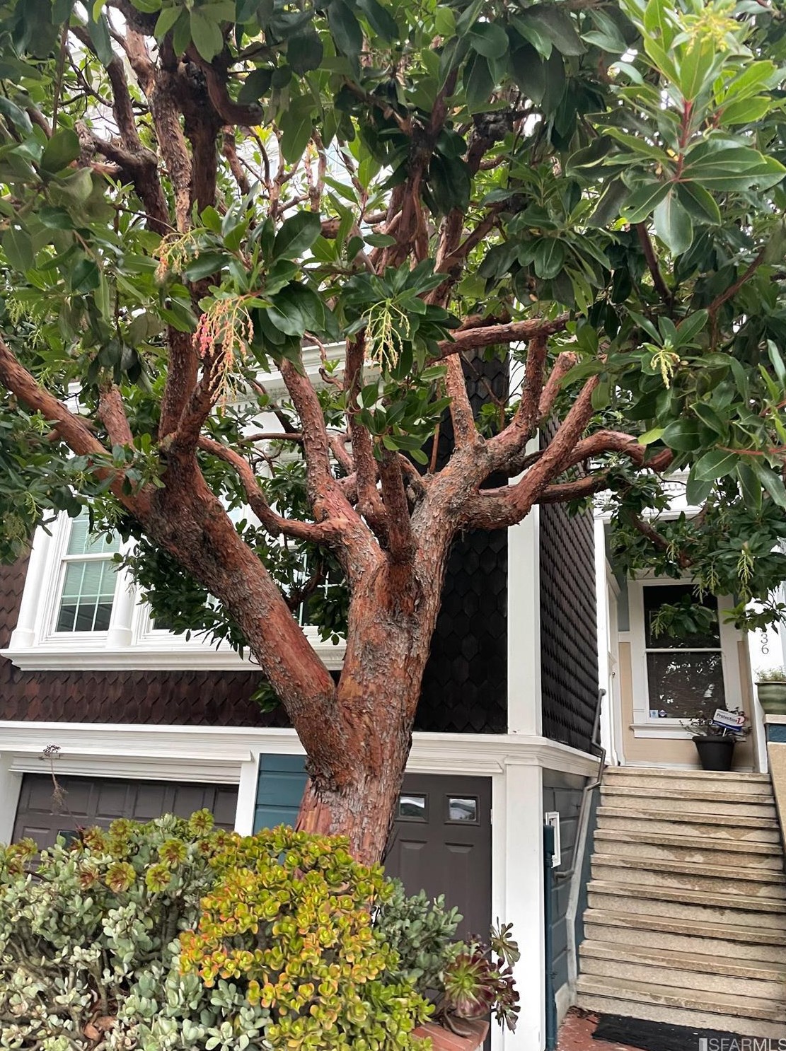 536 Judah St, San Francisco, CA 94122-2209