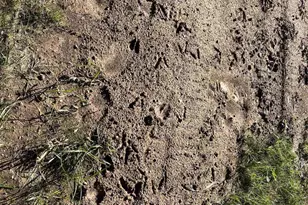 W5817 W Old 8 Road W, Prentice, WI 54556 - Photo 42