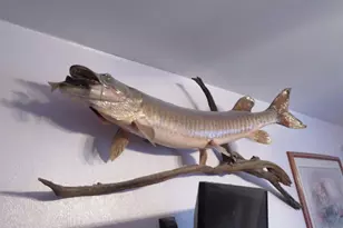 N4443 Crappie Rd, Medford, WI 54451 - Photo 28