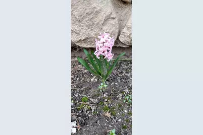 N4443 Crappie Road, Medford, WI 54451 - Photo 48