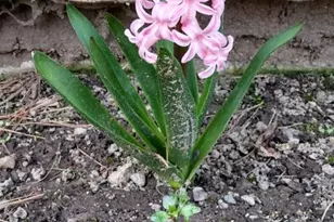 N4443 Crappie Rd, Medford, WI 54451 - Photo 48