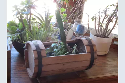 N4443 Crappie Road, Medford, WI 54451 - Photo 24