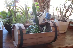 N4443 Crappie Rd, Medford, WI 54451 - Photo 24