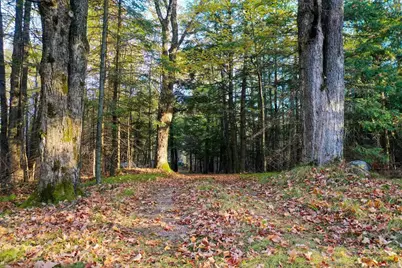 N5317 County Road E, Medford, WI 54451 - Photo 18