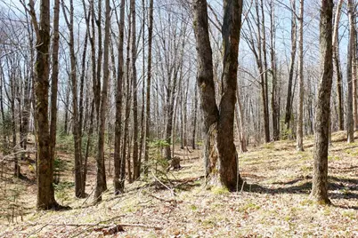 N5317 County Road E, Medford, WI 54451 - Photo 16