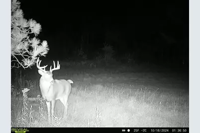 120 Acres Stettin Drive, Wausau, WI 54401 - Photo 18