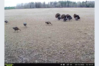 120 Acres Stettin Drive, Wausau, WI 54401 - Photo 40