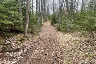 N13038 Hicks Landing Rd, Fifield, WI 54524 - Photo 52