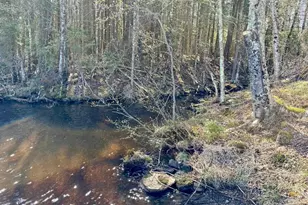 W8386 Maple Ln, Park Falls, WI 54552 - Photo 54