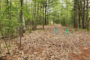 N9752 Wasko Ln, , WI 54143 - Photo 4