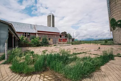 N9891 N Pole Grove Road, , WI 54611 - Photo 48