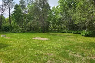 1444 Brown Deer Ave, Arkdale, WI 54613 - Photo 6