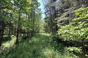 76557 Deringer Rd, Glidden, WI 54527 - Photo 38