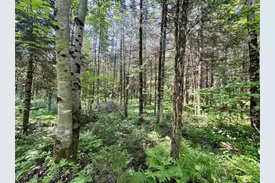 76557 Deringer Road, Glidden, WI 54527 - Photo 30