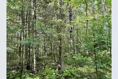 76557 Deringer Road, Glidden, WI 54527 - Photo 32