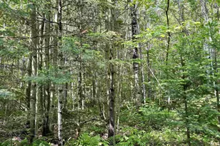 76557 Deringer Rd, Glidden, WI 54527 - Photo 32