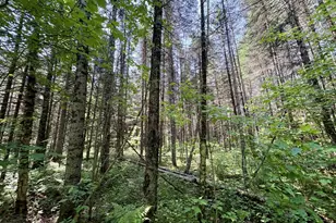 76557 Deringer Rd, Glidden, WI 54527 - Photo 28