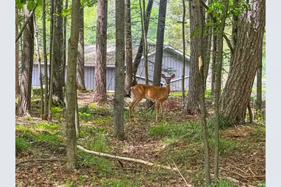 N8919 Island Road, Phillips, WI 54555 - Photo 16