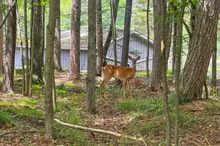 N8919 Island Rd, Phillips, WI 54555 - Photo 16