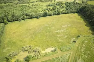 7185 Polish Rd, Pittsville, WI 54466 - Photo 10