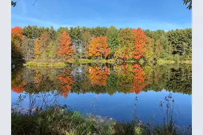 7185 Polish Road, Pittsville, WI 54466 - Photo 16