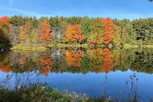 7185 Polish Rd, Pittsville, WI 54466 - Photo 16