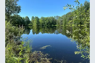 7185 Polish Road, Pittsville, WI 54466 - Photo 14