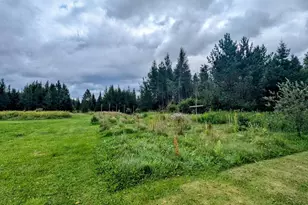 25598 Hwy 13, Glidden, WI 54527 - Photo 24