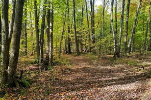 N3334 Oak Ridge Rd, Medford, WI 54451 - Photo 18