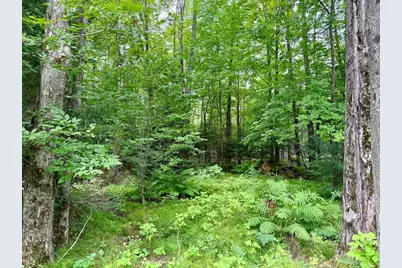 W6845 Disappearing Creek, Phillips, WI 54555 - Photo 20