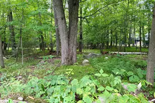 W6845 Disappearing Creek, Phillips, WI 54555 - Photo 22